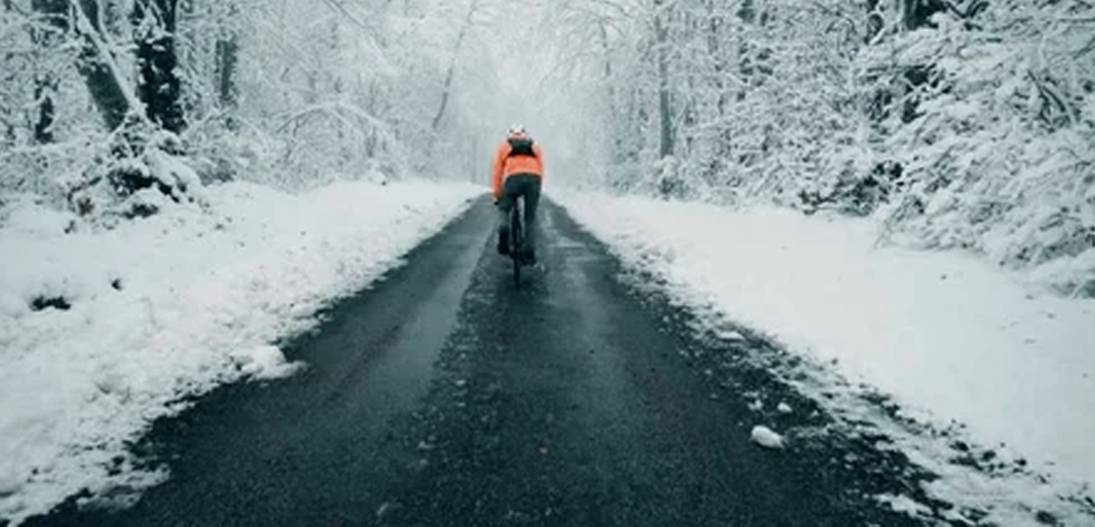 bicycle lawyer California