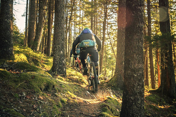 Mountain Bikers in the woods